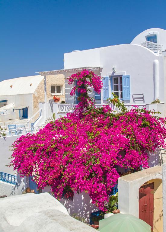 Evilio Houses Oía Dış mekan fotoğraf